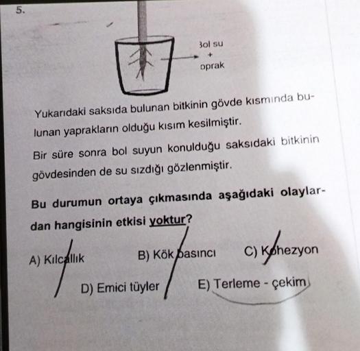 5.
3ol su
oprak
Yukarıdaki saksıda bulunan bitkinin gövde kısmında bu-
lunan yaprakların olduğu kısım kesilmiştir.
Bir süre sonra bol suyun konulduğu saksıdaki bitkinin
gövdesinden de su sızdığı gözlenmiştir.
Bu durumun ortaya çıkmasında aşağıdaki olaylar-