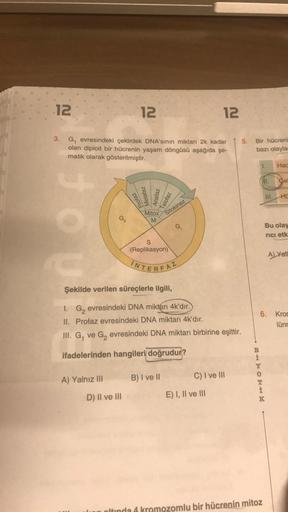 12
3.
to
G₁ evresindeki çekirdek DNA'sının miktarı 2k kadar
olan diploit bir hücrenin yaşam döngüsü aşağıda şe-
matik olarak gösterilmiştir.
G
A) Yalnız III
12
D) II ve III
Profaz
Metafaz
Anafaz
Telofaz
Mitoz
M
Sitokinez
S
(Replikasyon)
INTERFAZ
Şekilde ve