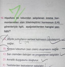 12. Hipofizin ön lobundan salgılanan üreme hor-
monlarından olan lüteinleştirici hormonun (LH)
görevleriyle ilgili, aşağıdakilerden hangisi yan-
lıştır?
Fi, Digide
sağlar.
B) Korpus luteumun (sarı cisim) oluşmasını sağlar.
C) Sarı cisimden östrojen ve progesteron salgılatır.
D) Annelik duygusunu oluşturur.
E) Testislerden testosteron salgılatır.
Dişide yumurtanın serbest kalmasını (ovulasyon)
CH