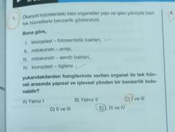 nme
1.
Ökaryot hücrelerdeki bazı organeller yapı ve işlev yönüyle bazı
tek hücrelilerle benzerlik gösterebilir.
Buna göre,
I. kloroplast - fotosentetik bakteri,
II. mitokondri - amip,
III. mitokondri - aerob bakteri,
IV. kloroplast - öglena
yukarıdakilerden hangilerinde verilen organel ile tek hüc-
reli arasında yapısal ve işlevsel yönden bir benzerlik bulu-
nabilir?
A) Yalnız I
D) II ve III
B) Yalnız II
C) I ve III
E), III ve IV
4.