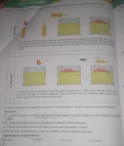 Fiziksel değişim ve kimyasal değişim olaylarını göstermek amacıyla iki farklı deney düzeneği kuruluyor
2. Düzenek
1. Düzenek
Bir mumun ipi kibrit aracılığıyla yakılıyor. Ip yanarken mumun eriyerek yan tarafına doğru aktiği görü
yor. Yanan mum ile etil alkol-su karışımı olan kolonya tutuşturuluyor. Kolonyadaki etil alkol yanarken
açığa çıkan isi ile su buharlaşıyor. Yanma işlemi tamamlandığında kap içerisindeki kolonya tamamen
bitiyor.
Etil alkol-su karışımı olan kolonya kibrit aracılığıyla tutuşturuluyor. Çıkan alevin üzerine maşa ile tutul
muş mum tutuluyor ve erimesi sağlanıyor. Kap içerisindeki tüm sıvı tükenene kadar yanma işlemi
devam ediyor ve mumun büyük bir kısmı eriyor.
İki deney düzeneğinde de değişimler sorgulanırken ilk ateşi sağlayan kibritlerin değişimleri gözardı edilecektir.
Buna göre;
I. 1. doney düzeneğinde mum ipinin yanması kimyasal değişime, mumum erimesi ise fiziksel değişime örnek göster
tebilir.
U 1. deney düzeneğinde kolonyayı oluşturan tüm maddelerin kimliği değişmiştir.
H. 2. deney düzeneğinde yalnızca etil alkolün tanecik yapısında değişim olmuştur.
IV Her iki deney düzeneğinde de isi alan tüm maddeler kimyasal değişime uğramıştır.
söylenenlerden hangisi doğrudur?
A) I ve
B) Il ve IV
C) I, II ve III
C
D) I, III ve IV