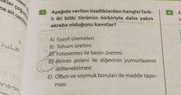 ne ait canla
lukis
7 Aşağıda verilen özelliklerden hangisi fark-
Ir iki bitki türünün birbiriyle daha yakın
akraba olduğunu kanıtlar?
A) Eşeyli üremeleri
B) Tohum üretimi
Fotosentez ile besin üretimi
O
BBirinin poleni ile diğerinin yumurtasının
döllenebilmesi
E) Odun ve soymuk boruları ile madde taşın-
masi
9
V