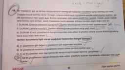 -yeşil
18. Bir maddenin asit ya da baz olduğuna karar vermek için kullanılan maddelere ayraç (belirteç) adı verilir.
Doğada birçok belirteç vardır. Örneğin, ortanca bitkisi bazik topraklarda pembe renkli çiçekler açarken, asi-
dik topraklarda mavi çiçek açar. Kırmızı lahanadan elde edilen çözelti mor renklidir. Çözelti, asidik madde-
lerle kırmızı renk alırken, bazik maddelerle bazlık derecesi arttıkça maviden yeşile doğru renk alır.
I. DURUM: Ortanca bitkisinin toprağına K çözeltisi döküldüğünde ortanca mavi çiçekler açıyor.
II. DURUM: Lahana suyuna L çözeltisi döküldüğünde çözeltinin rengi yeşil oluyor.uttli
bor
boz
III. DURUM: K ve L çözeltilerinin karıştırılmasından elde edilen M çözeltisi lahana suyuna döküldüğünde la-
hana suyu mavi renk alıyor.
Verilen durumlarla ilgili olarak aşağıdaki ifadelerden hangisi yanlıştır?
bawk
A) K çözeltisinin pH değeri L çözeltisinin pH değerinden küçüktür.
B) M çözeltisiyle sulanmış topraklarda ortanca bitkisi pembe çiçekler açar. V
C) K ve M çözeltileri aynı kap içerisinde karıştırılırsa kimyasal tepkime gerçekleşir.\
✓
D) ve M çözeltilerinin karıştırılmasıyla elde edilen çözeltiyle sulanan topraklarda ortancalar mavi çiçek
açarlar.
MUTLAK
53
Diğer sayfaya geçiniz.
