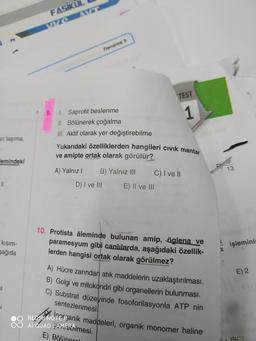 an taşıma,
emindeki
11
kısım-
şağıda
il
J
FASIKUL
Deneme 5
D 9. I. Saprofit beslenme
II. Bölünerek çoğalma
III. Aktif olarak yer değiştirebilme
Yukarıdaki özelliklerden hangileri civik mantar
ve amipte ortak olarak görülür?
A) Yalnız I B) Yalnız III
D) I ve III
TEST
1
C) I ve II
E) II ve III
10. Protista âleminde bulunan amip, öglena ve
paramesyum gibi canlılarda, aşağıdaki özellik-
lerden hangisi ortak olarak görülmez?
A) Hücre zarından atık maddelerin uzaklaştırılması.
B) Golgi ve mitokondri gibi organellerin bulunması.
C) Substrat düzeyinde fosoforilasyonla ATP nin
sentezlenmesi
O REDMI NOTeganik maddeleri, organik monomer haline
AI QUAD CAMERAlmesi.
E) Bölünerali
S
X
13
işleminin
E) 2
LIBC)