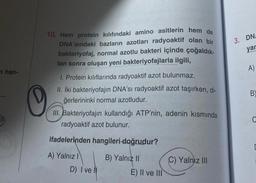 Than
O
10. Hem protein kılıfındaki amino asitlerin hem de
DNA'sındaki bazların azotları radyoaktif olan bir
bakteriyofaj, normal azotlu bakteri içinde çoğaldık-
tan sonra oluşan yeni bakteriyofajlarla ilgili,
I. Protein kılıflarında radyoaktif azot bulunmaz.
II. İki bakteriyofajin DNA'sı radyoaktif azot taşırken, di-
ğerlerininki normal azotludur.
III. Bakteriyofajin kullandığı ATP'nin, adenin kısmında
radyoaktif azot bulunur.
ifadelerinden hangileri doğrudur?
A) Yalnız I
B) Yalnız II
D) I ve N
E) II ve III
C) Yalnız III
3. DN
yar
A)
B
C