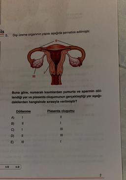 Eis
yınları 5.
4-B
Dişi üreme organının yapısı aşağıda şematize edilmiştir.
200 2008
Buna göre, numaralı kısımlardan yumurta ve spermin döl-
lendiği yer ve plasenta oluşumunun gerçekleştiği yer aşağı-
dakilerden hangisinde sırasıyla verilmiştir?
A)
B)
C)
D)
E)
Döllenme
I
||
5-B
1
III
11
Plasenta oluşumu
||
7