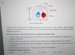 10.
1 yönü
2 yönü
Esnek ve gergin balon
Pipet
Y borusu
Plastik fanus
C) II, II ve IV
Balon
Yasin, solunum sistemi konusu ile ilgili yukarıdaki düzeneği hazırlar. Yasin, esnek ve gergin balonun
altındaki K noktasından önce 1 yönüne sonra da 2 yönüne doğru kuvvet uygular. Bu sırada düzenekteki
değişimleri gözlemler.
Buna göre Yasin'in hazırladığı düzenek ve yaptığı uygulamalarla ilgili,
1. 1 yönüne doğru kuvvet uygulaması soluk vermeyi, bu sırada balonların küçülmesi de akciğerlerin kü-
çülmesini temsil eder.
II. Modelde esnek ve gergin balon diyafram kasını, plastik fanus ise göğüs kafesini temsil etmektedir.
Ill. Soluk alma sırasında diyafram kasının düzleştiği, K noktasına 2 yönünde kuvvet uygulandığı sırada
gözlemlenir.
IV. Modelde pipet soluk borusunu, "Y" borusu ise bronşlanı temsil etmektedir.
ifadelerinden hangileri doğrudur?
A) V
B) Il ve Ill
D) I, II, III ve IV