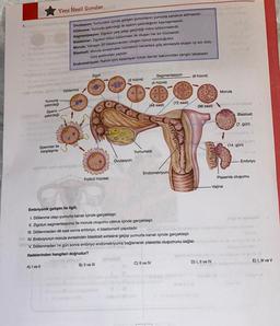 Yeni Nesil Sorular
Yumurta
çekirdeği
Sperm
çekirdeği
www.in
Spermler ile
karşılaşma
Ovulasyon: Yumurtalık içinde gelişen yumurtanın yumurta kanalına atılmasıdır.
Döllenme: Yumurta çekirdeği ile sperm çekirdeğinin kaynaşmasıdır.
Segmentasyon: Zigotun peş peşe geçirdiği mitoz bölünmelerdir.
Blastomer: Zigotun mitoz bölünmesi ile oluşan her bir hücresidir.
Morula: Yaklaşık 32 blastomerden oluşan hücre topluluğudur.
Blastosit: Morula evresindeki hücrelerin kenarlara göç etmesiyle oluşan içi sıvı dolu
küre şeklindeki yapıdır.
Endometriyum: Rahim içini astarlayan kılcal damar bakımından zengin tabakadır.
Döllenme
Zigot
mobilelege
f
Folikül hücresi
www.
Ovulasyon
einollég
B
(2 hücre)
(A
Embriyonik gelişim ile ilgili,
1. Döllenme olayı yumurta kanalı içinde gerçekleşir.
II. Zigotun segmentasyonu ile morula oluşumu uterus içinde gerçekleşir.
III. Döllenmeden 48 saat sonra embriyo, 4 blastomerli yapıdadır.
(33
(4 hücre)
(48 saat)
Yumurtalık
Segmentasyon
Endometriyum
C) II ve IV
(72 saat)
(8 hücre)
IV. Embriyonun morula evresinden blastosit evresine geçişi yumurta kanalı içinde gerçekleşir.
V. Döllenmeden 14 gün sonra embriyo endometriyuma bağlanarak plasenta oluşumunu sağlar. amabalot sid ev
non n
ifadelerinden hangileri doğrudur?
A) I ve II
B) II ve III
Holl
(96 saat)
Morula
- Vajina
D) I, II ve IV
Blastosit
(7. gün)
tovidons VI
to helipnsr
(14. gün)
Hovi A
Plasenta oluşumu
Embriyo
gli s sinsini
E) I, III ve V
Exinly (A