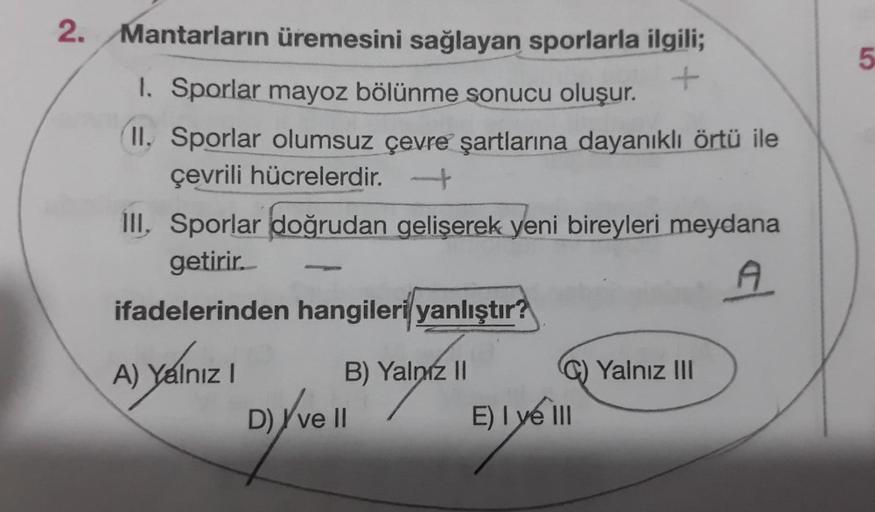 2.
Mantarların üremesini sağlayan sporlarla ilgili;
+
1. Sporlar mayoz bölünme sonucu oluşur.
II. Sporlar olumsuz çevre şartlarına dayanıklı örtü ile
çevrili hücrelerdir.
III. Sporlar doğrudan gelişerek yeni bireyleri meydana
getirir.
A
ifadelerinden hangi