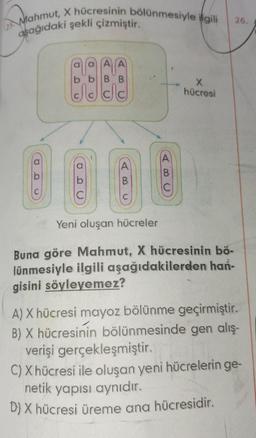 25 Mahmut, X hücresinin bölünmesiyle ilgili
aşağıdaki şekli çizmiştir.
aAA
bb BB
I ca
O OU
C
A
Yeni oluşan hücreler
A
X
hücresi
Buna göre Mahmut, X hücresinin bö-
lünmesiyle ilgili aşağıdakilerden han-
gisini söyleyemez?
26.
A) X hücresi mayoz bölünme geçirmiştir.
B) X hücresinin bölünmesinde gen alış-
verişi gerçekleşmiştir.
C) X hücresi ile oluşan yeni hücrelerin ge-
netik yapısı aynıdır.
D) X hücresi üreme ana hücresidir.