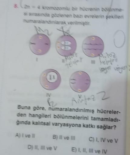 & Can-4 kromozomlu bir hücrenin bölünme-
si sırasında gözlenen bazı evrelerin şekilleri
numaralandınlarak verilmiştir
O
IN
A) I ve Il
II
Telofas
Anfaz 2
Buna göre, numaralandırılmış hücreler-
den hangileri bölünmelerini tamamladı-
ğında kalıtsal varyasyona