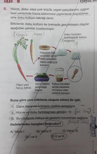 Eşeysiz
6. Hücre, doku veya çok küçük organ parçalarının uygun
besi yerlerinde hücre bölünmesi yaptırılarak büyütülme-
sine doku kültürü tekniği denir.
Bitkilerde doku kültürü ile üremede gerçekleşen olaylar
aşağıdaki şekilde özetlenmiştir.
(eşeysiz vreme)