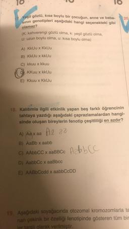 Yeşil gözlü, kısa boylu bir çocuğun, anne ve baba-
sının genotipleri aşağıdaki hangi seçenekteki gibi
olamaz?
(K: kahverengi gözlü olma, k: yeşil gözlü olma,
U: uzun boylu olma, u: kısa boylu olma)
A) KkUu x KkUu
B) KkUu x kkUu
C) kkuu x kkuu
DKKuu x kkUu
E) Kkuu x KkUu
10
A) Aa x aa 2 22
B) AaBb x aabb
C) AAbbCC x aaBBCc AcbbCC
D) AabbCc x aaBbcc
E) AABbCcdd x aabbCcDD
20
18. Kalıtımla ilgili etkinlik yapan beş farklı öğrencinin
tahtaya yazdığı aşağıdaki çaprazlamalardan hangi-
sinde oluşan bireylerin fenotip çeşitliliği en azdır?
19. Aşağıdaki soyağacında otozomal kromozomlarla ta
nan çekinik bir özelliği fenotipinde gösteren tüm bir
ler taralı olarak verilmiştir.