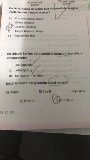 7.
A)
B)
Bu iki durumda da stoma kilit hücrelerinde aşağıda
verilenlerden hangisi ortaktır?
C
D)
E)
Gözeneğin açık
durumu
Ozmotik basınç düzeyi
Glikoz derişimi
Oksijen tüketimi
Turgor basıncı düzeyi
Fotosentez hızı
Bir ağacın ksilem borularındaki özsuyun y