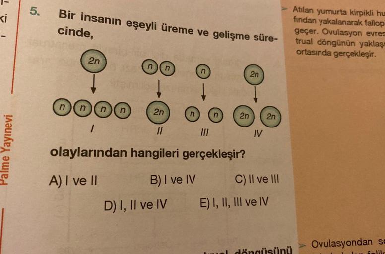 ki
Palme Yayınevi
5.
Bir insanın eşeyli üreme ve gelişme süre-
cinde,
2n
n
DOOG
1
ifşimib espec
nn
n
2n
2n
olaylarından hangileri gerçekleşir?
A) I ve II
B) I ve IV
D) I, II ve IV
2n
IV
2n
C) II ve III
E) I, II, III ve IV
uuel döngüsünü
Atılan yumurta kirp