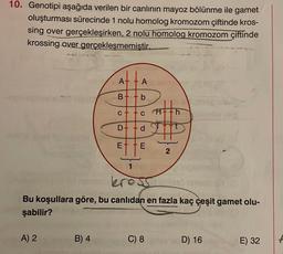 10. Genotipi aşağıda verilen bir canlının mayoz bölünme ile gamet
oluşturması sürecinde 1 nolu homolog kromozom çiftinde kros-
sing over gerçekleşirken, 2 nolu homolog kromozom çiftinde
krossing over gerçekleşmemiştir.
A) 2
A+ A
B+ + b
B) 4
C + + C
D+ d
E
LU
E
krosshalle
Bu koşullara göre, bu canlıdan en fazla kaç çeşit gamet olu-
şabilir?
#tn
21²
2
C) 8
D) 16
E) 32