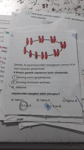 böceğin pro
arla işaretler
re sonra
zor 10.
plas
zan
0. Men
dakil
A) Te
Ter
Ayn
have
erle
b
2.
5. Kadınlarda yumurta üretimi
mayoz şöyledir:
foun
JI-W-W
juy!
miştir.
D) I ve II
-08
Şekilde, iki paramesyumdan konjugasyon sonucu 8 bi-
reyin oluşması gösteril