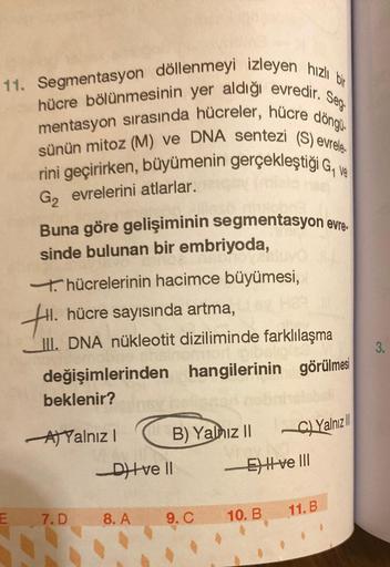 11. Segmentasyon döllenmeyi izleyen hızlı bir
hücre bölünmesinin yer aldığı evredir. Seg.
mentasyon sırasında hücreler, hücre döngü.
sünün mitoz (M) ve DNA sentezi (S) evrele-
rini geçirirken, büyümenin gerçekleştiği G₁ ve
G₂ evrelerini atlarlar.
Buna göre