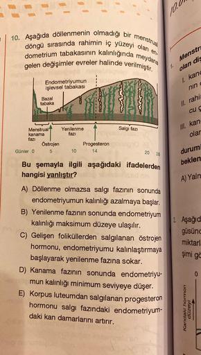10. Aşağıda döllenmenin olmadığı bir menstrual
döngü sırasında rahimin iç yüzeyi olan en-
dometrium tabakasının kalınlığında meydana
gelen değişimler evreler halinde verilmiştir.
Endometriyumun
işlevsel tabakası
Günler 0
Bazal
tabaka
Menstrual
kanama
fazı