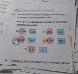 Ribozomda
Lökoplasttal
Hücre zarı
illerinde
0.
6.
3.
5.
Acnx.
Kalıtım (Gamet
Çeşitleri-Çaprazlamalar)
Tek karakter bakımından heterozigot iki bireyin çapraz-
lamasına monohibrit çaprazlama denir.
Buna göre aşağıdakilerden hangisi bir monohibrit
çaprazlama örneğidir?
A) (ssDD
C) SsDd
ssdd
Mayoz I
Ssdd
E) SS
B) (SSDD
D) (SSDd
SS
ssdd
SSDd
Aşağıda iki farklı bal arasının çaprazlanması gösteril-
miştir.
de vi
Yaln