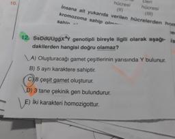 10.
Deri
hücresi
hücresi
(II)
(III)
insana ait yukarıda verilen hücrelerden hom
kromozoma sahip olm
sahin
le
12. SsDdUUggxAY genotipli bireyle ilgili olarak aşağı- is
dakilerden hangisi doğru olamaz?
A) Oluşturacağı gamet çeşitlerinin yarısında Y bulunur.
B) 5 ayrı karaktere sahiptir.
C) 8 çeşit gamet oluşturur.
D) 3 tane çekinik gen bulundurur.
E)
E) İki karakteri homozigottur.