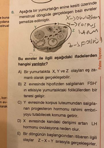 e buna
ydana
nstrual
kor-
n ev-
olarak
8.
Aşağıda bir yumurtalığın enine kesiti üzerinde
menstrual döngüde gerçekleşen bazı evreler
X-Jovulasyon
şematize edilmiştir.
->Korpus
1² luteum
Z
2-spolirl
X
ow
Bu evreler ile ilgili aşağıdaki ifadelerden
hangisi ya