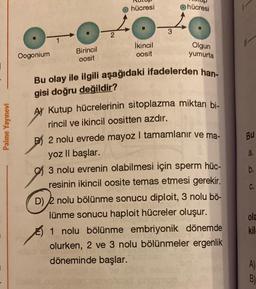 Palme Yayınevi
I
Oogonium
Birincil
oosit
2
hücresi
Ikincil
oosit
3
hücresi
Olgun
yumurta
Bu olay ile ilgili aşağıdaki ifadelerden han-
gisi doğru değildir?
AY Kutup hücrelerinin sitoplazma miktarı bi-
rincil ve ikincil oositten azdır.
2 nolu evrede mayoz I tamamlanır ve ma-
yoz Il başlar.
3 nolu evrenin olabilmesi için sperm hüc-
resinin ikincil oosite temas etmesi gerekir.
D) 2 nolu bölünme sonucu diploit, 3 nolu bö-
lünme sonucu haploit hücreler oluşur.
1 nolu bölünme embriyonik dönemde
olurken, 2 ve 3 nolu bölünmeler ergenlik
döneminde başlar.
11-
Bu
a.
b.
C.
ola
kil
A)
B)