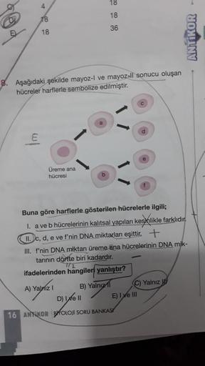 4
E
18
18
8. Aşağıdaki şekilde mayoz-l ve mayoz-ll sonucu oluşan
hücreler harflerle sembolize edilmiştir.
Üreme ana
hücresi
18
18
36
A) Yalnız I
Buna göre harflerle gösterilen hücrelerle ilgili;
I. a ve b hücrelerinin kalıtsal yapıları kesinlikle farklıdır
