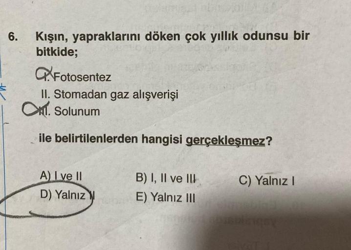 6.
Kışın, yapraklarını döken çok yıllık odunsu bir
bitkide;
QFotosentez
II. Stomadan gaz alışverişi
O. Solunum
ile belirtilenlerden hangisi gerçekleşmez?
A) I ve II
D) Yalnız
B) I, II ve III
E) Yalnız III
C) Yalnız I
