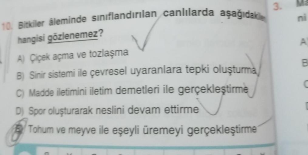 10. Bitkiler âleminde sınıflandırılan canlılarda aşağıdakile
hangisi gözlenemez?
A) Çiçek açma ve tozlaşma
B) Sinir sistemi ile çevresel uyaranlara tepki oluşturma
C) Madde iletimini iletim demetleri ile gerçekleştirme
D) Spor oluşturarak neslini devam ett