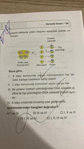10. Çiçekli bitkilerde polen oluşumu aşağıdaki şekilde ve-
rilmiştir.
Polen ana
hücresi (2n)
K
Deneme Sınavı - 08
Üretken
çekirdek
Mikrospor Polen
D) I, III ve IV
Tüp
çekirdeği
Buna göre,
1.
K olayı sonucunda oluşan mikrosporların her biri
farklı kalıtsal 