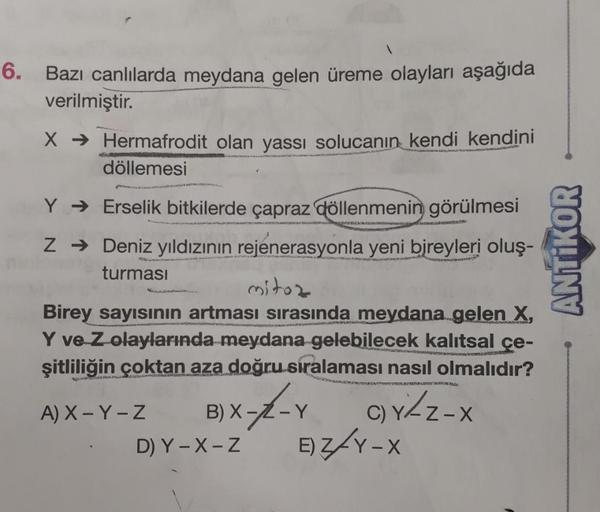 6. Bazı canlılarda meydana gelen üreme olayları aşağıda
verilmiştir.
X → Hermafrodit olan yassı solucanın kendi kendini
döllemesi
Y → Erselik bitkilerde çapraz döllenmenin görülmesi
Z → Deniz yıldızının rejenerasyonla yeni bireyleri oluş-
turması
mitoz
Bir