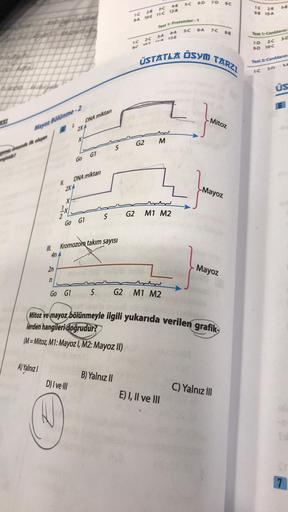 551
pe randa ilk oluşan
Mayoz Bölünme-2
III.
A) Yalnızl
4n
2n
n
11.
X
1.
2XA
1x
Go G1
DNA miktarı
2XA
X
D) I ve III
Go
Go G1
DNA miktarı
G1
Kromozom takım sayısı
S
S
S
IC 28 JC 48
94
108 11-C 12-8
B) Yalnız II
G2
Test 1: Proteinler-1
4-A
S-C 6-A
I 2
SC ME 