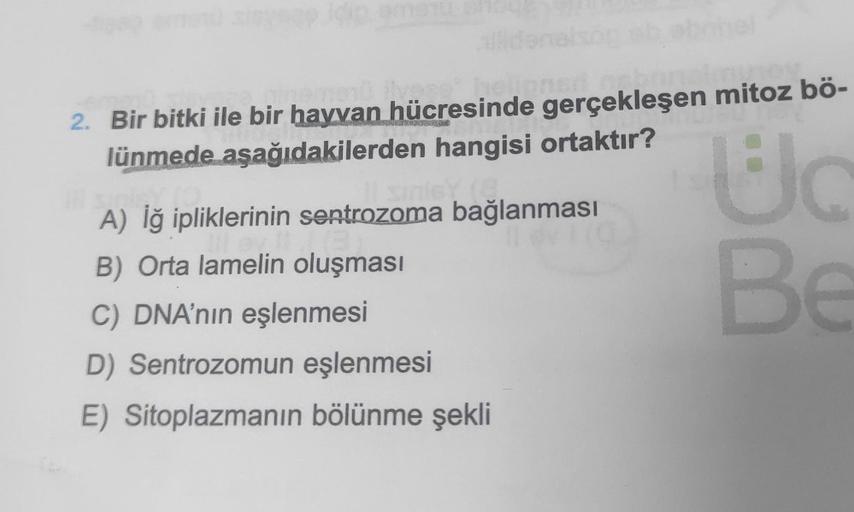 2. Bir bitki ile bir hayvan hücresinde gerçekleşen mitoz bö-
lünmede aşağıdakilerden hangisi ortaktır?
sinley (8.
Uc
Be
Ill sinley
A) İğ ipliklerinin sentrozoma bağlanması
16
B) Orta lamelin oluşması
C) DNA'nın eşlenmesi
D) Sentrozomun eşlenmesi
E) Sitopla