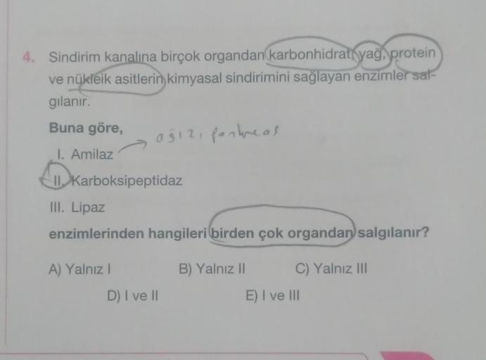 4. Sindirim kanalına birçok organdan karbonhidrat yağ, protein
ve nükleik asitlerin kimyasal sindirimini sağlayan enzimler sal-
gılanır.
Buna göre,
I. Amilaz
II Karboksipeptidaz
III. Lipaz
enzimlerinden hangileri birden çok organdan salgılanır?
A) Yalnız I