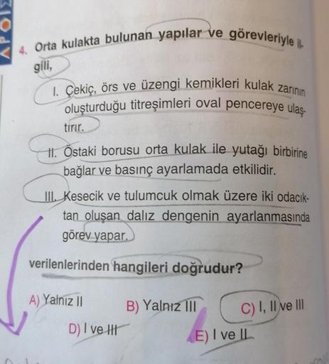 4. Orta kulakta bulunan yapılar ve görevleriyle i
gili,
1. Çekiç, örs ve üzengi kemikleri kulak zarının
oluşturduğu titreşimleri oval pencereye ulaş-
tirir.
11. Östaki borusu orta kulak ile yutağı birbirine
bağlar ve basınç ayarlamada etkilidir.
III. Kesec