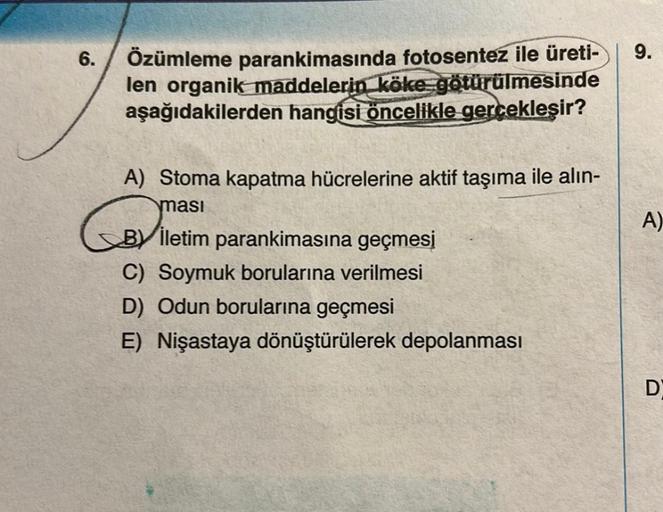 6.
Özümleme parankimasında fotosentez ile üreti-
len organik maddelerin köke götürülmesinde
aşağıdakilerden hangisi öncelikle gerçekleşir?
A) Stoma kapatma hücrelerine aktif taşıma ile alın-
ması
Bİletim parankimasına geçmesi
C) Soymuk borularına verilmesi