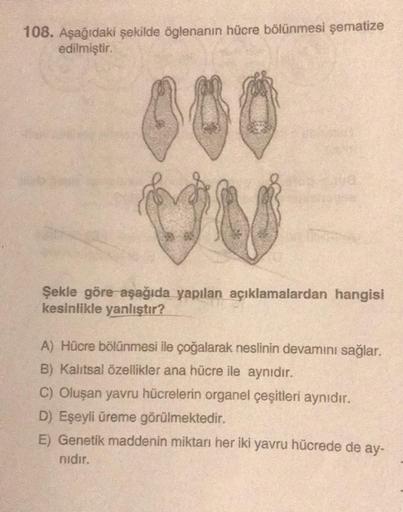 108. Aşağıdaki şekilde öglenanın hücre bölünmesi şematize
edilmiştir.
000
Şekle göre aşağıda yapılan açıklamalardan hangisi
kesinlikle yanlıştır?
A) Hücre bölünmesi ile çoğalarak neslinin devamını sağlar.
B) Kalıtsal özellikler ana hücre ile aynıdır.
C) Ol