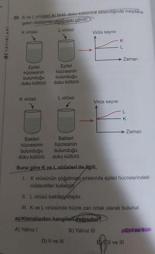 4KYAYINLARI
20. K ve L virüsleri iki farklı doku kültürüne eklendiğinde meydana
gelen değişimler aşağıdaki gibidir.
L virüsü
K virüsü
Epitel
hücresinin
bulunduğu
doku kültürü
K virüsü
Epitel
hücresinin
bulunduğu
doku kültürü
L virüsü
Bakteri
hücresinin
bul