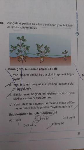 18. Aşağıdaki şekilde bir çilek bitkisinden yeni bitkilerin
oluşması gösterilmiştir.
Buna göre, bu üreme çeşidi ile ilgili;
Yeni dluşan bitkiler ile ata bitkinin genetik bilgisi
aynıdır.
1. Yeni bitkilerin oluşması sürecinde tozlaşma ola-
yı gerçekleşir.
M