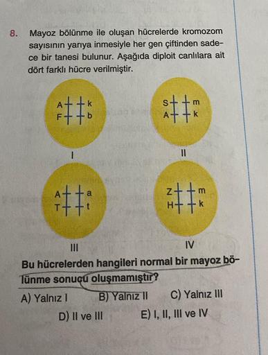 8.
Mayoz bölünme ile oluşan hücrelerde kromozom
sayısının yarıya inmesiyle her gen çiftinden sade-
ce bir tanesi bulunur. Aşağıda diploit canlılara ait
dört farklı hücre verilmiştir.
*‡‡
a
r++t
A) Yalnız I
D) II ve III
At+k
NH
m
||
|||
IV
Bu hücrelerden ha