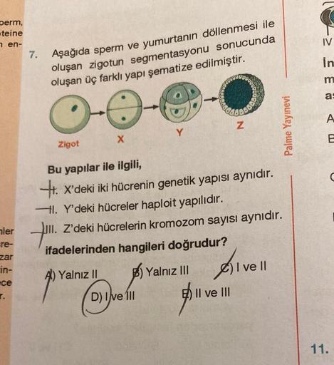 Derm,
teine
en-
nler
re-
zar
in-
ece
T.
7.
Aşağıda sperm ve yumurtanın döllenmesi ile
oluşan zigotun segmentasyonu sonucunda
oluşan üç farklı yapı şematize edilmiştir.
Zigot
...
Yalnız II
O
X
Bu yapılar ile ilgili,
H. X'deki iki hücrenin genetik yapısı ayn