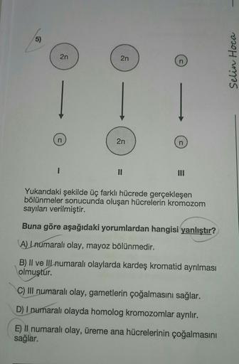 5)
2n
n
2n
2n
n
n
III
Yukarıdaki şekilde üç farklı hücrede gerçekleşen
bölünmeler sonucunda oluşan hücrelerin kromozom
sayıları verilmiştir.
Buna göre aşağıdaki yorumlardan hangisi yanlıştır?
A) Lnumaralı olay, mayoz bölünmedir.
B) II ve IIL numaralı olayl