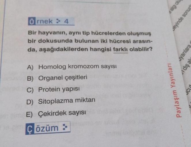 Örnek: 4
Bir hayvanın, aynı tip hücrelerden oluşmuş
bir dokusunda bulunan iki hücresi arasın-
da, aşağıdakilerden hangisi farklı olabilir?
A) Homolog kromozom sayısı
B) Organel çeşitleri
C) Protein yapısı
D) Sitoplazma miktarı
E) Çekirdek sayısı
Cözüm >>
P