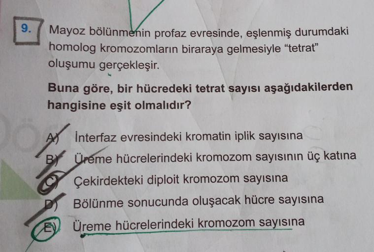 9.
DÖ
Mayoz bölünmenin profaz evresinde, eşlenmiş durumdaki
homolog kromozomların biraraya gelmesiyle "tetrat"
oluşumu gerçekleşir.
Buna göre, bir hücredeki tetrat sayısı aşağıdakilerden
hangisine eşit olmalıdır?
A İnterfaz evresindeki kromatin iplik sayıs