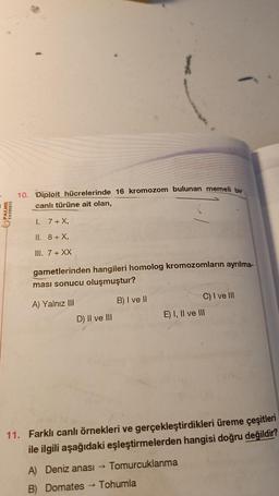 PALME
YAYINEVİ
10. Diploit hücrelerinde 16 kromozom bulunan memeli bir
canlı türüne ait olan,
1.
7+ X,
II. 8+ X,
III. 7 + XX
gametlerinden hangileri homolog kromozomların ayrılma-
ması sonucu oluşmuştur?
A) Yalnız III
B) I ve II
D) II ve III
A) Deniz anası →
B) Domates
C) I ve III
11. Farklı canlı örnekleri ve gerçekleştirdikleri üreme çeşitleri
ile ilgili aşağıdaki eşleştirmelerden hangisi doğru değildir?
Tomurcuklanma
Tohumla
E) I, II ve III