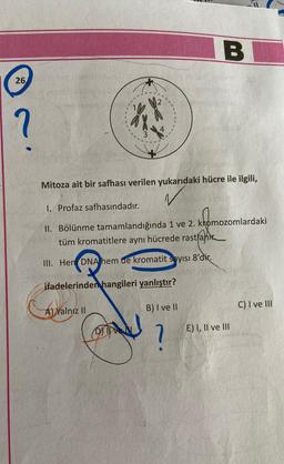 26
Ⓡ
?
**
Mitoza ait bir safhası verilen yukarıdaki hücre ile ilgili,
✓
A) Yalnız II
B
I. Profaz safhasındadır.
II. Bölünme tamamlandığında 1 ve 2. kromozomlardaki
tüm kromatitlere aynı hücrede rastlan
III. Hem DNA hem de kromatit sayısı 8'dir.
ifadelerinden hangileri yanlıştır?
B) I ve II
?
E) I, II ve III
C) I ve III