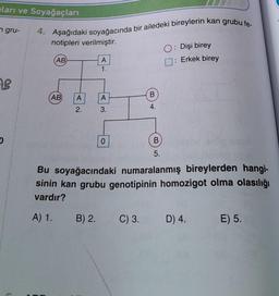 pları ve Soyağaçları
gru-
AB
D
4. Aşağıdaki soyağacında bir ailedeki bireylerin kan grubu fe-
notipleri verilmiştir.
AB
(AB) A
2.
A
1.
A
3.
0
B
4.
B
5.
O: Dişi birey
: Erkek birey
staktonto ter
Bu soyağacındaki numaralanmış bireylerden hangi-
sinin kan grubu genotipinin homozigot olma olasılığı
vardır?
A) 1. B) 2.
C) 3. D) 4.
E) 5.