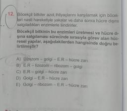 12. Böcekçil bitkiler azot, ihtiyaçlarını karşılamak için böcek-
leri nasti hareketiyle yakalar ve daha sonra hücre dışına
salgıladıkları enzimlerle sindirirler.
Böcekçil bitkinin bu enzimleri üretmesi ve hücre di-
şına salgılaması sürecinde sırasıyla görev alan hüc-
resel yapılar, aşağıdakilerden hangisinde doğru be-
lirtilmiştir?
A) Lizozom - golgi - E.R- hücre zarı
B) E.R - lizozom - ribozom - golgi
C) E.R- golgi - hücre zarı
D) Golgi - E.R - hücre zarı
E) Golgi - ribozom - E.R-hücre zarı