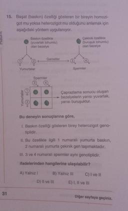 15. Başat (baskın) özelliği gösteren bir bireyin homozi-
got mu yoksa heterozigot mu olduğunu anlamak için
aşağıdaki yöntem uygulanıyor.
31
Yumurtalar
Baskın özellikte
(yuvarlak tohumlu)
olan bezelye
Yumurtalar
+@+
+N)
Gametler
Spermler
A) Yalnız I
Çekinik özellikte
(buruşuk tohumlu)
olan bezelye
Spermler
Bu deneyin sonuçlarına göre,
1. Baskın özelliği gösteren birey heterozigot geno-
tiplidir.
Çaprazlama sonucu oluşan
→ bezelyelerin yarısı yuvarlak,
yarısı buruşuktur.
II. Bu özellikle ilgili 1 numaralı yumurta baskın,
2 numaralı yumurta çekinik gen taşımaktadır.
III. 3 ve 4 numaralı spermler aynı genotiplidir.
ifadelerinden hangilerine ulaşılabilir?
D) II ve III
B) Yalnız III
C) I ve II
E) I, II ve III
Diğer sayfaya geçiniz.